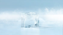 Hoshizaki IM-45CNE-HC-25 Ice Cuber - Small Cubes